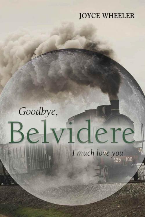 Cover of the book Goodbye, Belvidere - I Much Love You by Joyce Wheeler, BookLocker.com, Inc.
