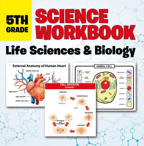 Cover of the book 5th Grade Science Workbook: Life Sciences & Biology by Baby Professor, Speedy Publishing LLC