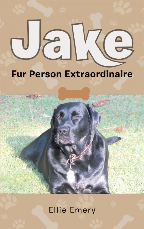 Cover of the book Jake: Fur Person Extraordinare by Ellie Emery, Page Publishing, Inc.