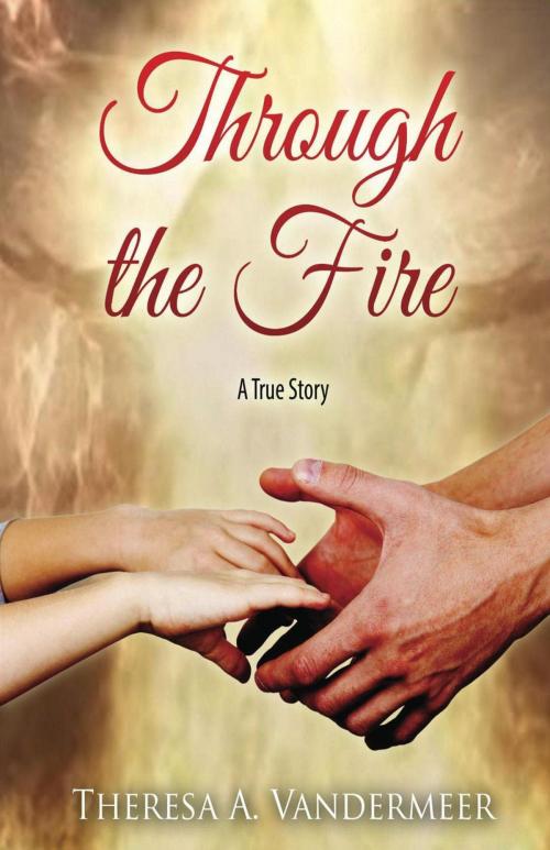 Cover of the book Through the Fire by Theresa Vandermeer, Theresa Vandermeer