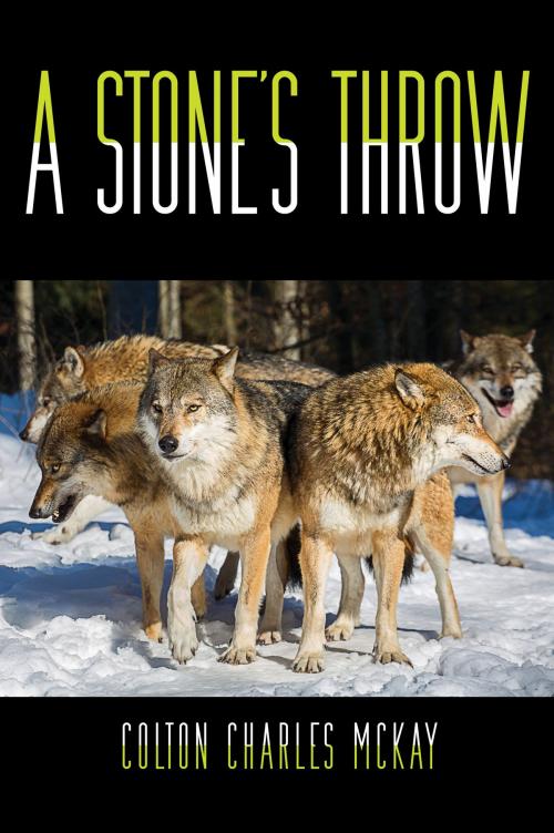 Cover of the book A Stone's Throw by Colton Mckay, Tellwell Talent