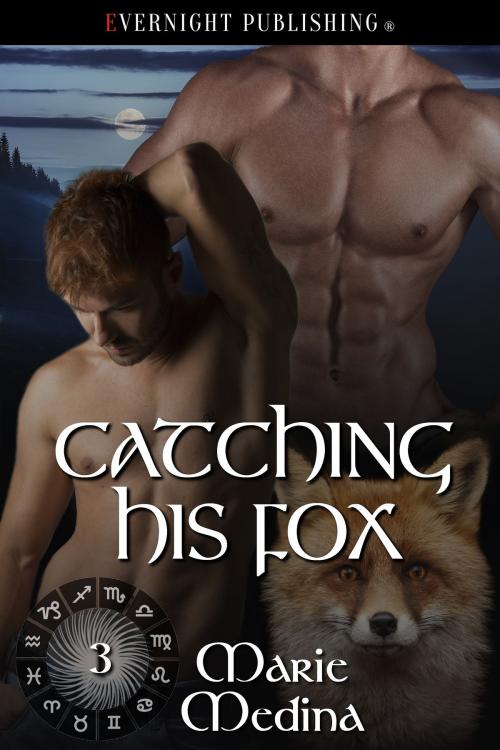 Cover of the book Catching His Fox by Marie Medina, Evernight Publishing