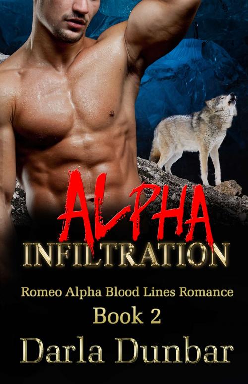Cover of the book Alpha Infiltration by Darla Dunbar, Revelry Publishing