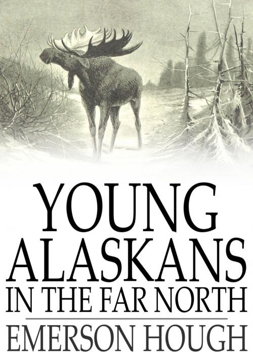Cover of the book Young Alaskans in the Far North by Emerson Hough, The Floating Press