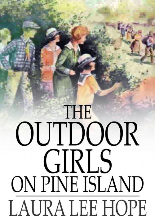 Cover of the book The Outdoor Girls on Pine Island by Laura Lee Hope, The Floating Press