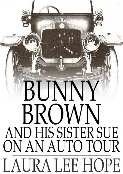 Cover of the book Bunny Brown and His Sister Sue on an Auto Tour by Laura Lee Hope, The Floating Press