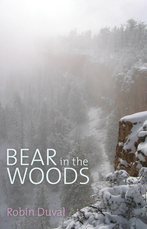 Cover of the book Bear in the Woods by Robin Duval, Troubador Publishing Ltd