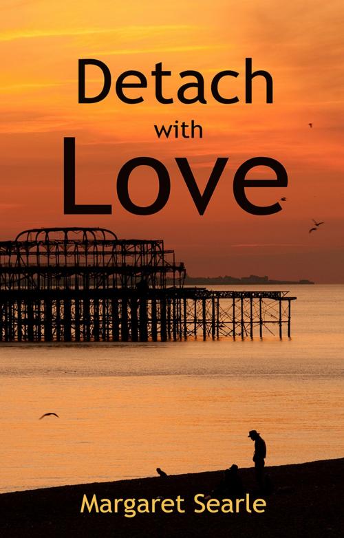 Cover of the book Detach with Love by Margaret Searle, Troubador Publishing Ltd