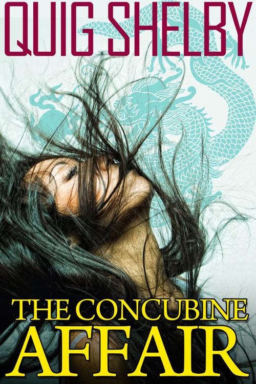 Cover of the book The Concubine Affair by Quig Shelby, Andrews UK
