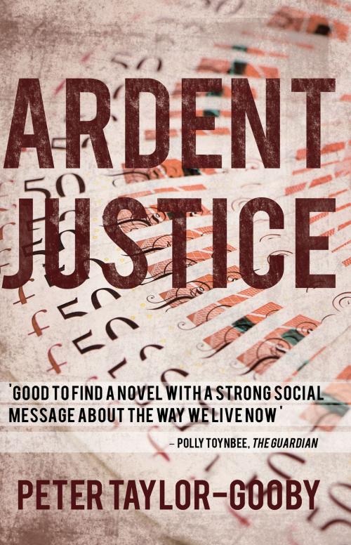 Cover of the book Ardent Justice by Peter Taylor-Gooby, Troubador Publishing Ltd