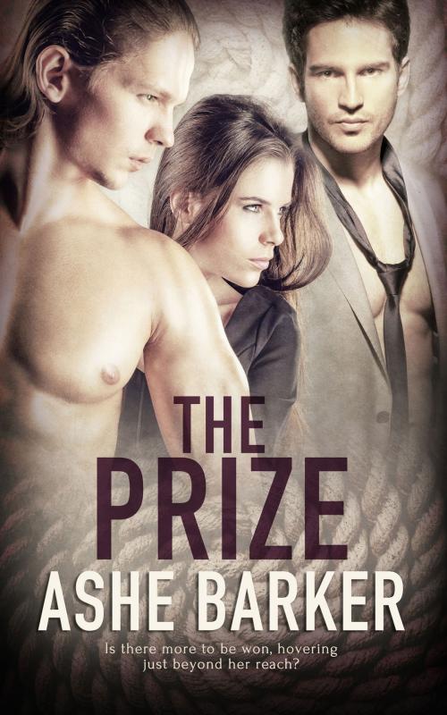 Cover of the book The Prize by Ashe Barker, Totally Entwined Group Ltd