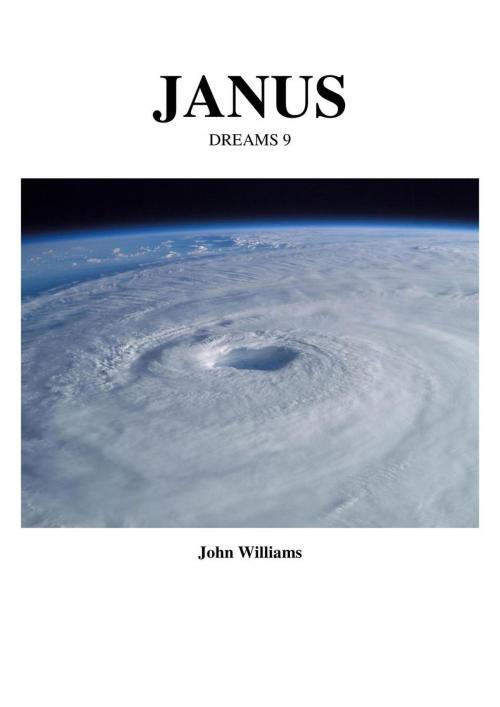 Cover of the book Janus by John Williams, John Williams