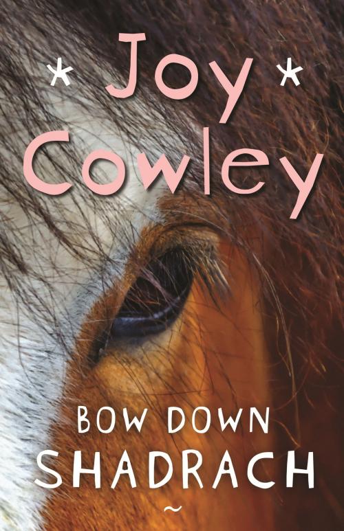 Cover of the book Bow Down Shadrach by Joy Cowley, Hachette New Zealand