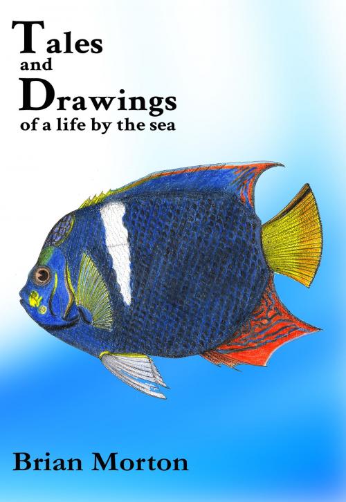 Cover of the book Tales and Drawings of a Life by the Sea by Brian Morton, Brian Morton