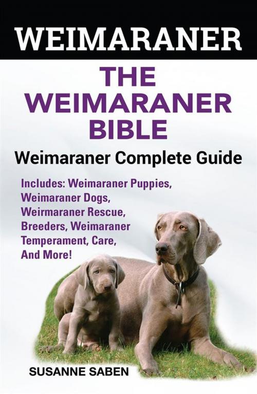 Cover of the book Weimaraner The Weimaraner Bible by Susanne Saben, DYM Worldwide Publishers