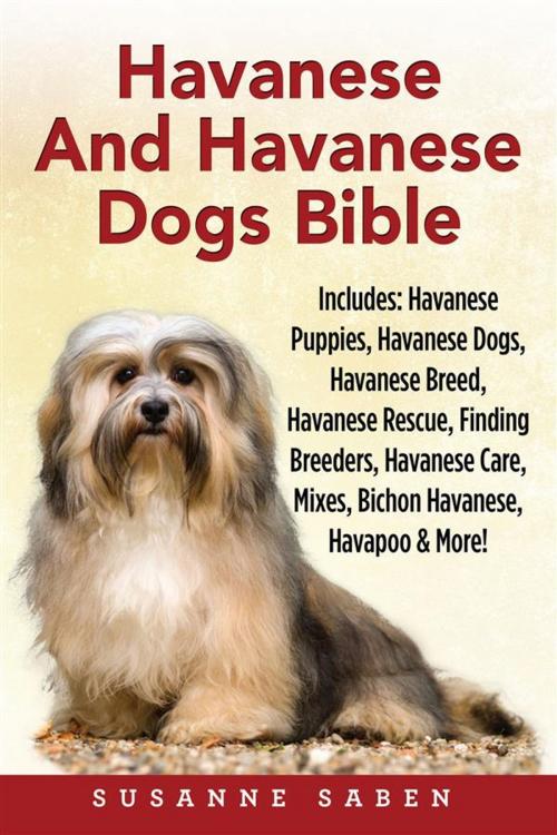 Cover of the book Havanese And Havanese Dogs Bible by Susanne Saben, DYM Worldwide Publishers