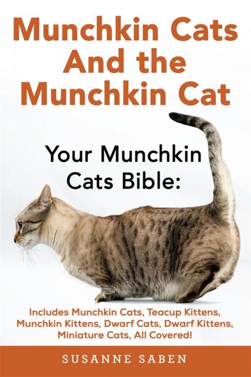 Cover of the book Munchkin Cats and the Munchkin Cat by Susanne Saben, DYM Worldwide Publishers