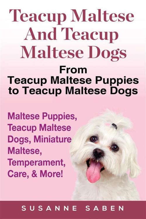 Cover of the book Teacup Maltese and Teacup Maltese Dogs by Susanne Saben, DYM Worldwide Publishers