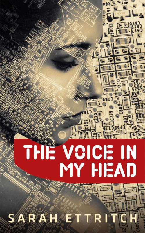 Cover of the book The Voice in My Head by Sarah Ettritch, Norn Publishing