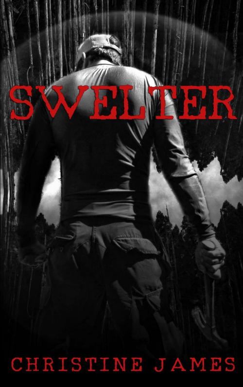 Cover of the book Swelter by Christine James, BGP Publishing