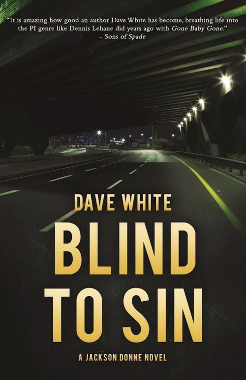 Cover of the book Blind to Sin by Dave White, Polis Books