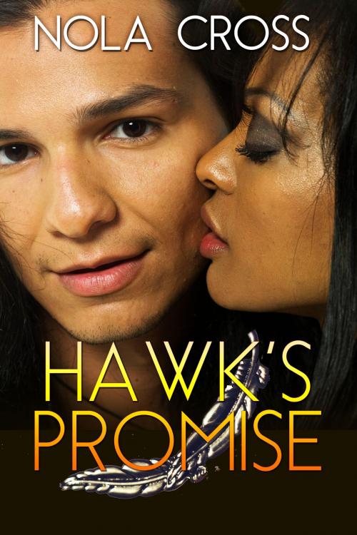 Cover of the book Hawk's Promise by Nola Cross, Beachwalk Press, Inc.