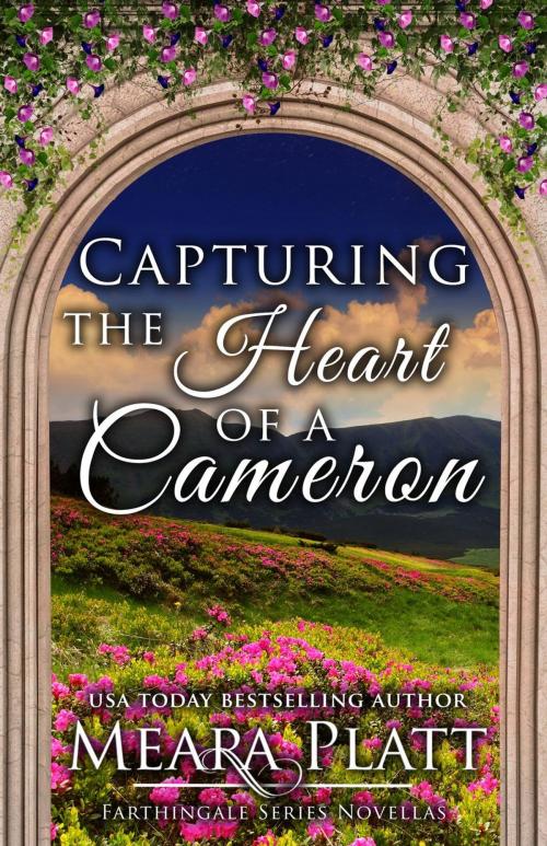 Cover of the book Capturing the Heart of a Cameron by Meara Platt, Meara Platt
