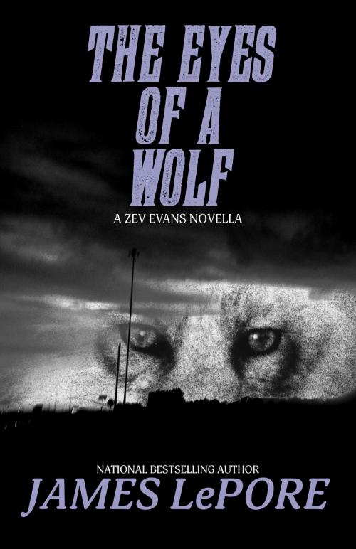 Cover of the book The Eyes of a Wolf by James LePore, Fiction Studio Books