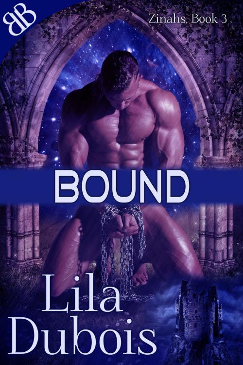 Cover of the book Bound by Lila Dubois, Book Boutiques