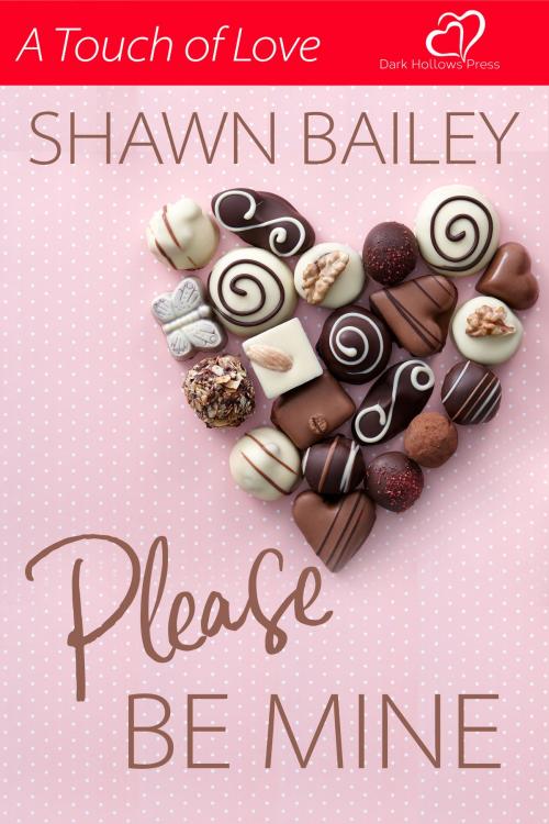 Cover of the book Please Be Mine by Shawn Bailey, Painted Hearts Publishing