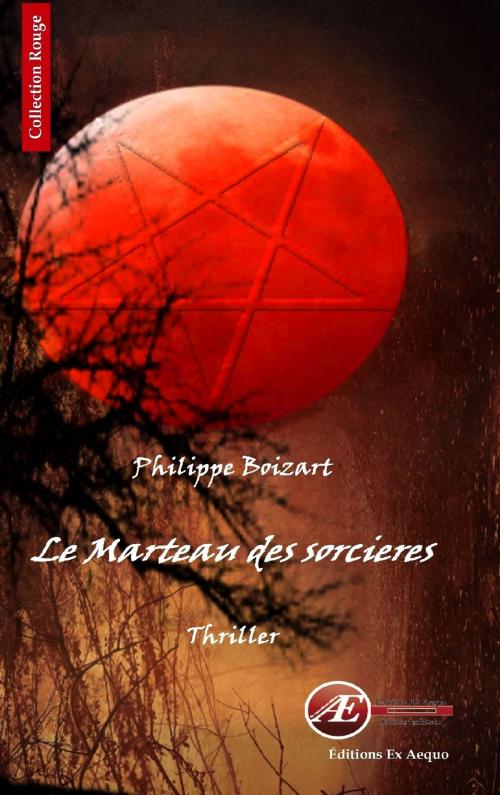 Cover of the book Le marteau des sorcières by Philippe Boizart, Editions Ex Aequo