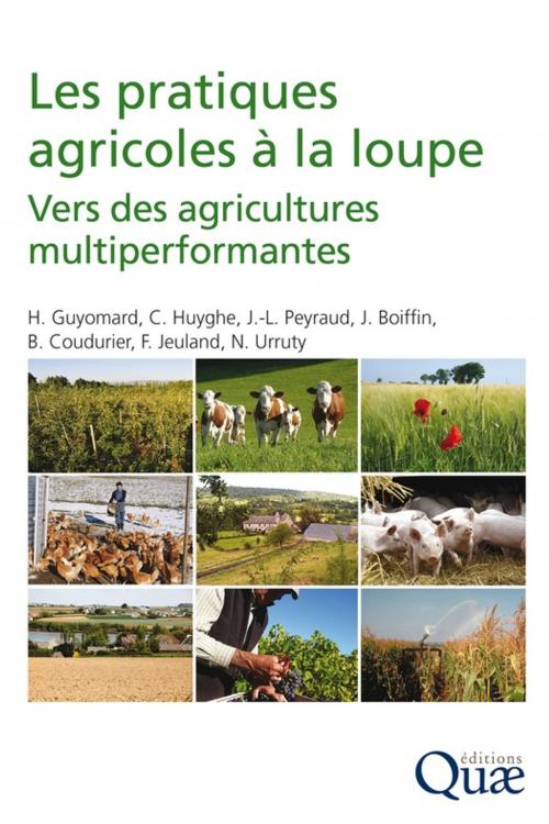 Cover of the book Les pratiques agricoles à la loupe by Jean Boiffin, Bernard Coudurier, Christian Huyghe, François Jeuland, Jean Louis Peyraud, Hervé Guyomard, Nicolas Urruty, Quae