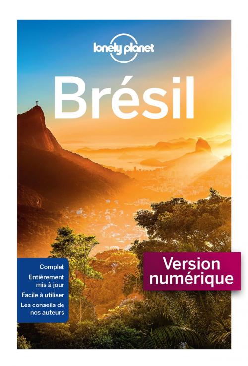 Cover of the book Brésil 9ed by LONELY PLANET FR, edi8