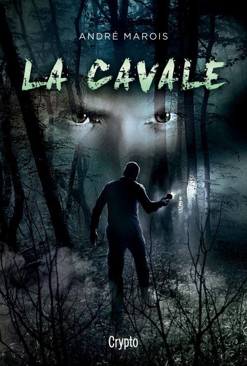 Cover of the book La cavale by André Marois, Bayard Canada
