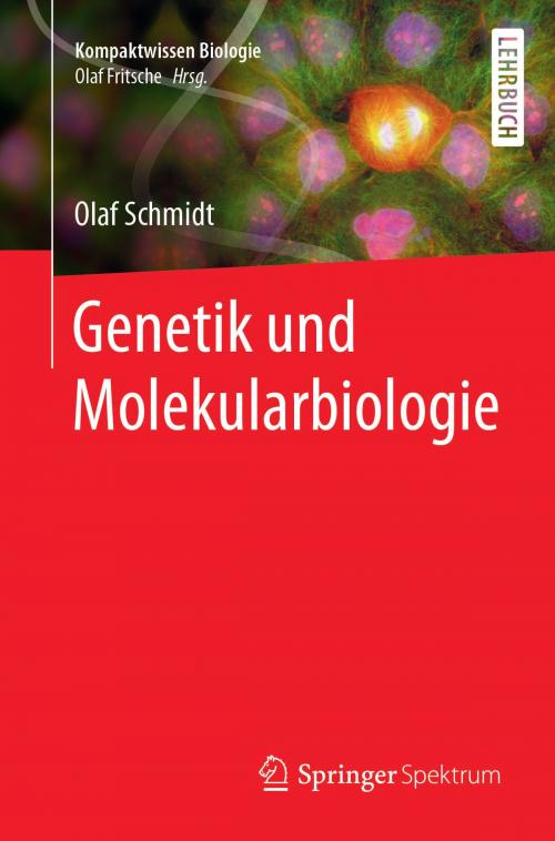 Cover of the book Genetik und Molekularbiologie by Martin Lay, Olaf Schmidt, Springer Berlin Heidelberg