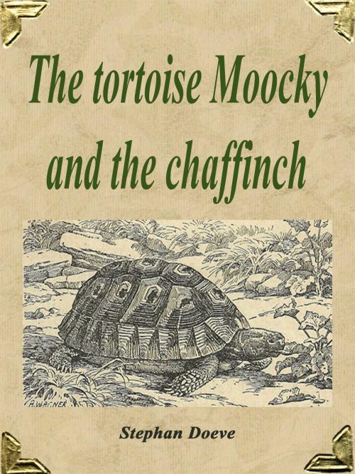 Cover of the book The tortoise Moocky and the chaffinch by Stephan Doeve, BoD E-Short