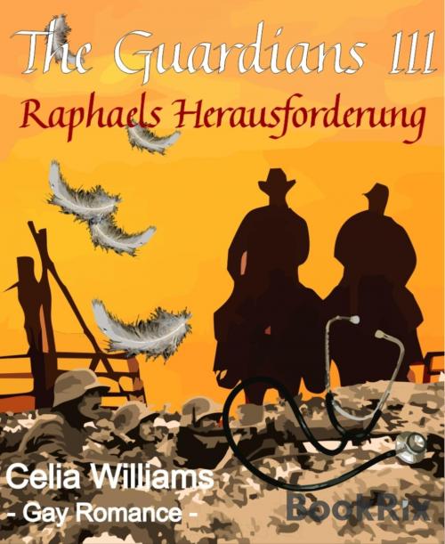 Cover of the book The Guardians III - Raphaels Herausforderung by Celia Williams, BookRix
