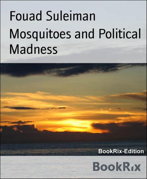 Cover of the book Mosquitoes and Political Madness by Fouad Suleiman, BookRix