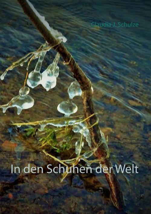 Cover of the book In den Schuhen der Welt by Claudia J. Schulze, Books on Demand