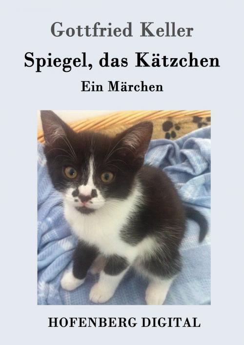 Cover of the book Spiegel, das Kätzchen by Gottfried Keller, Hofenberg