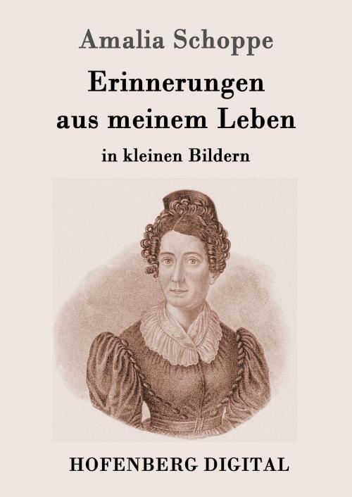 Cover of the book Erinnerungen aus meinem Leben by Amalia Schoppe, Hofenberg