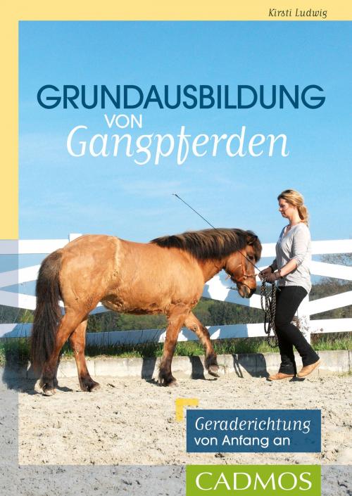 Cover of the book Grundausbildung von Gangpferden by Kirsti Ludwig, Cadmos Verlag