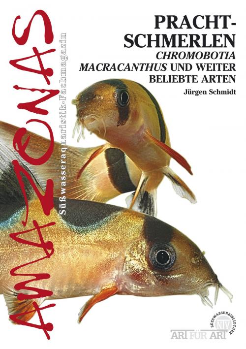 Cover of the book Prachtschmerlen by Jürgen Schmidt, Natur und Tier - Verlag