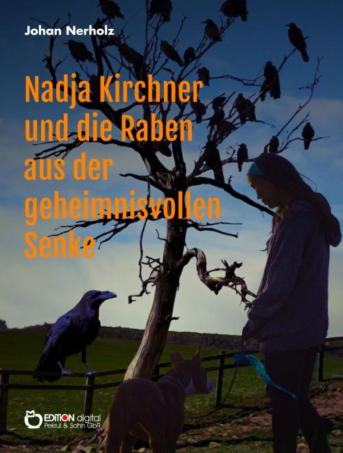 Cover of the book Nadja Kirchner und die Raben aus der geheimnisvollen Senke by Johan Nerholz, EDITION digital