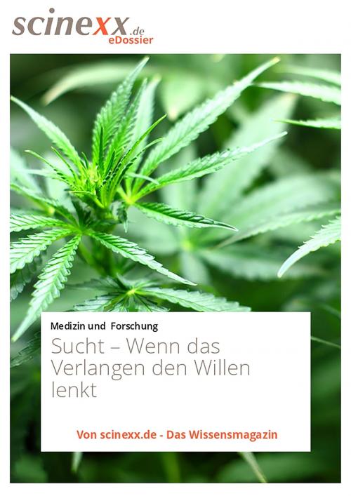 Cover of the book Sucht by Kathrin Bernard, YOUPublish