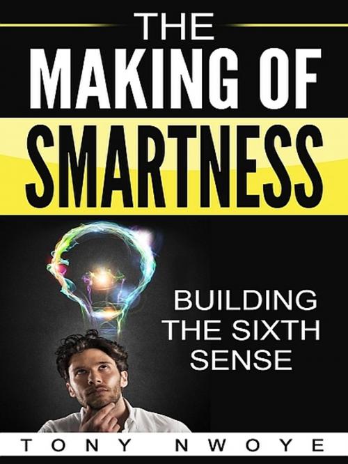 Cover of the book The Making Of Smartness by Tony Nwoye, XinXii-GD Publishing