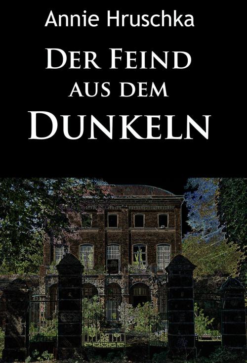 Cover of the book Der Feind aus dem Dunkeln by Annie Hruschka, idb