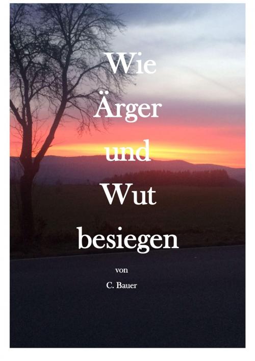 Cover of the book Wie Ärger und Wut besiegen by Christian Bauer, Bauer Verlag