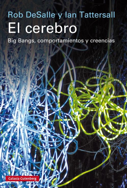 Cover of the book El cerebro by Rob DeSalle, Ian Tattersall, Galaxia Gutenberg