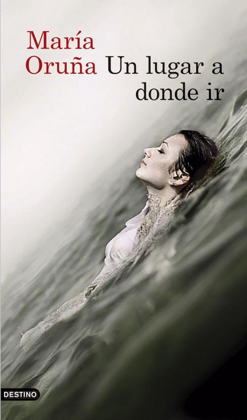 Cover of the book Un lugar a donde ir by María Oruña, Grupo Planeta